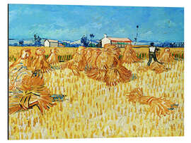 Magnettafel Ernte in der Provence