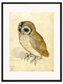 Gerahmter Kunstdruck Käuzchen