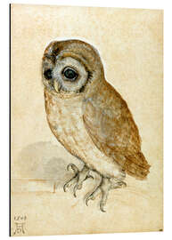 Magnettafel Käuzchen