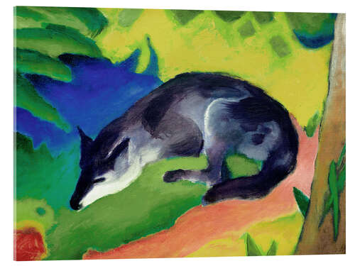 Acrylglas print Blue-black fox