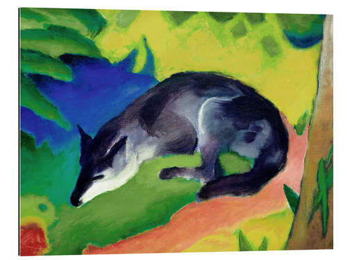 Gallery Print Blauschwarzer Fuchs