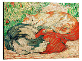 Magnettafel Katzen auf rotem Tuch