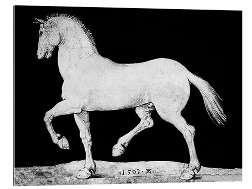 Galleriprint Horse