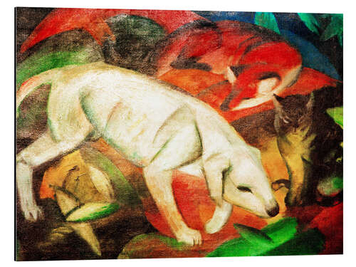 Obraz na aluminium Three animals (dog, fox and cat)