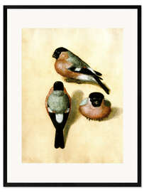 Kehystetty taidepainatus Bullfinch studies