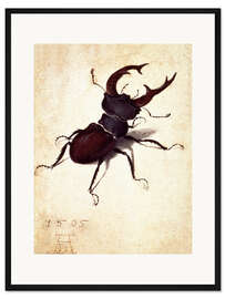 Gerahmter Kunstdruck Hirschkäfer