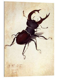 Gallery print Stag beetle