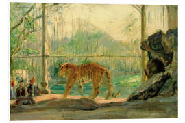 Foam board print Tiger im Zoo