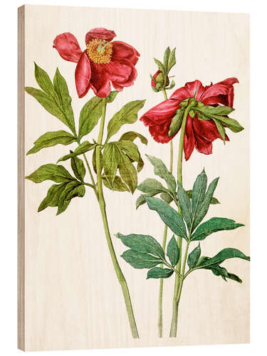 Tableau en bois Pivoines