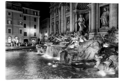 Akrylbilde Trevi fountain in Rome