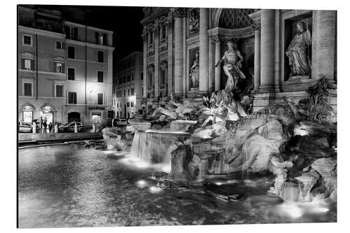 Alubild Fontana di Trevi in Rom