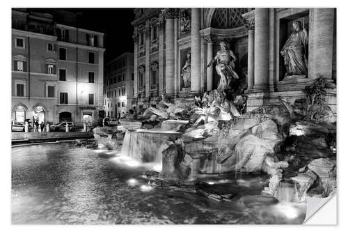 Naklejka na ścianę Trevi fountain in Rome