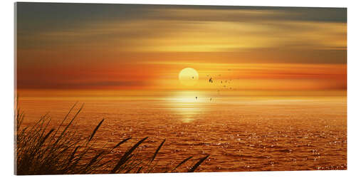 Acrylic print Sunset Over The Ocean