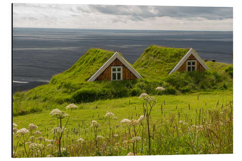 Print på aluminium Traditional Houses in the Skaftafell National Park, Iceland