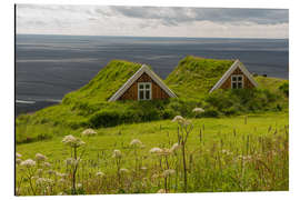 Obraz na aluminium Traditional Houses in the Skaftafell National Park, Iceland