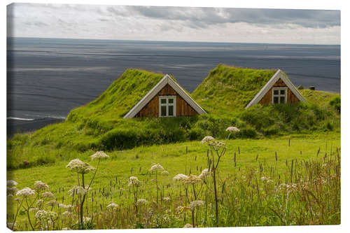 Obraz na płótnie Traditional Houses in the Skaftafell National Park, Iceland