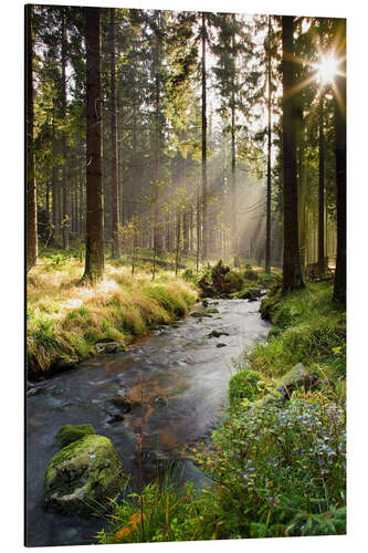 Aluminiumsbilde Bode elv i Harz, Tyskland