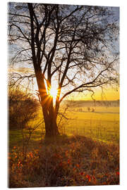 Acrylic print Sunrise fields