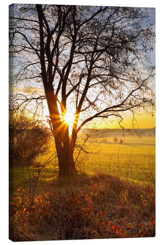 Leinwandbild Sonnenaufgang Felder