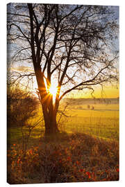 Leinwandbild Sonnenaufgang Felder