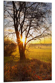 Magnettafel Sonnenaufgang Felder