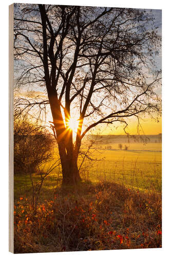 Wood print Sunrise fields