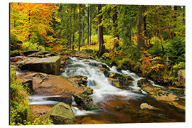 Aluminiumsbilde Bode cases in the Harz