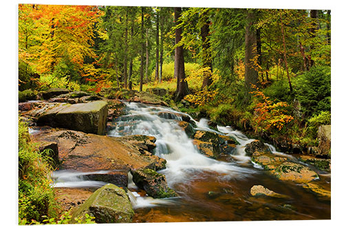 Print på skumplade Bode cases in the Harz