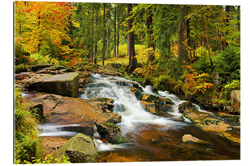 Gallery print Bode cases in the Harz