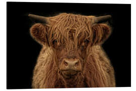 Magnettafel Highlander