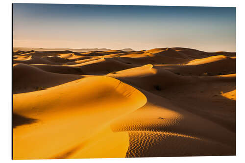 Alumiinitaulu Desert landscape at sunrise