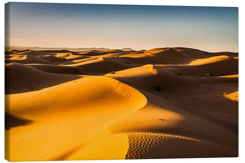 Canvas print Desert landscape at sunrise