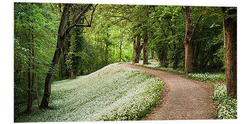 Hartschaumbild Grün-weißer Frühlingsteppich im Wald