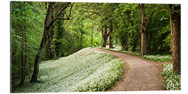 Galleriataulu Green white spring&#039;s carpat in the forest