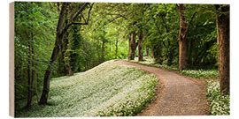 Wood print Green white spring&#039;s carpat in the forest