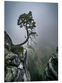 Akrylbilde  Lonely Tree on the Brink - Andreas Wonisch