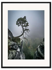 Gerahmter Kunstdruck Einsamer Baum am Abgrund