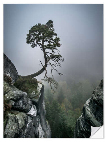 Selvklæbende plakat Lonely Tree on the Brink