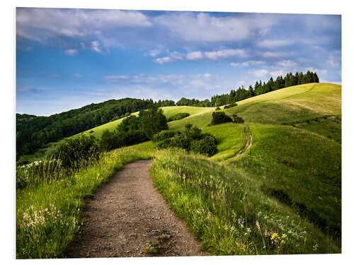 Foam board print Path over Rolling Hills in Summer