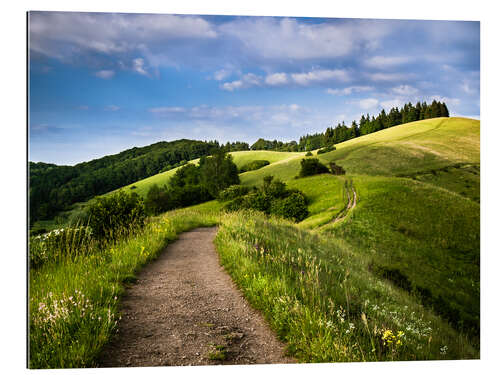 Tableau en plexi-alu Chemin dans les collines en été