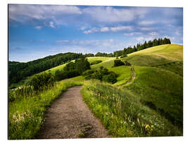 Magnettafel Weg über sommerliche Hügel
