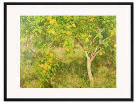 Gerahmter Kunstdruck Der Zitronenbaum