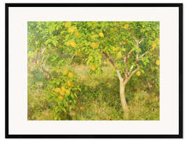 Framed art print The Lemon Tree