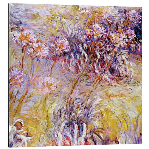 Quadro em alumínio Impression: Flowers