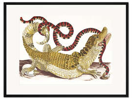 Gerahmter Kunstdruck Alligator &amp; Schlange