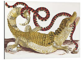 Magnettafel Alligator &amp; Schlange