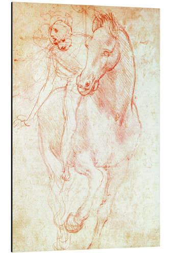 Aluminium print Study of a Horse and Rider