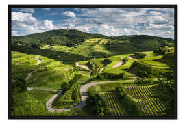 Gerahmter Kunstdruck Weinberge im Kaiserstuhl im Frühling