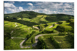 Magnettafel Weinberge im Kaiserstuhl im Frühling