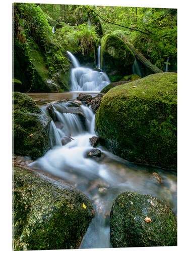 Acrylic print Little Waterfall in Black Forest